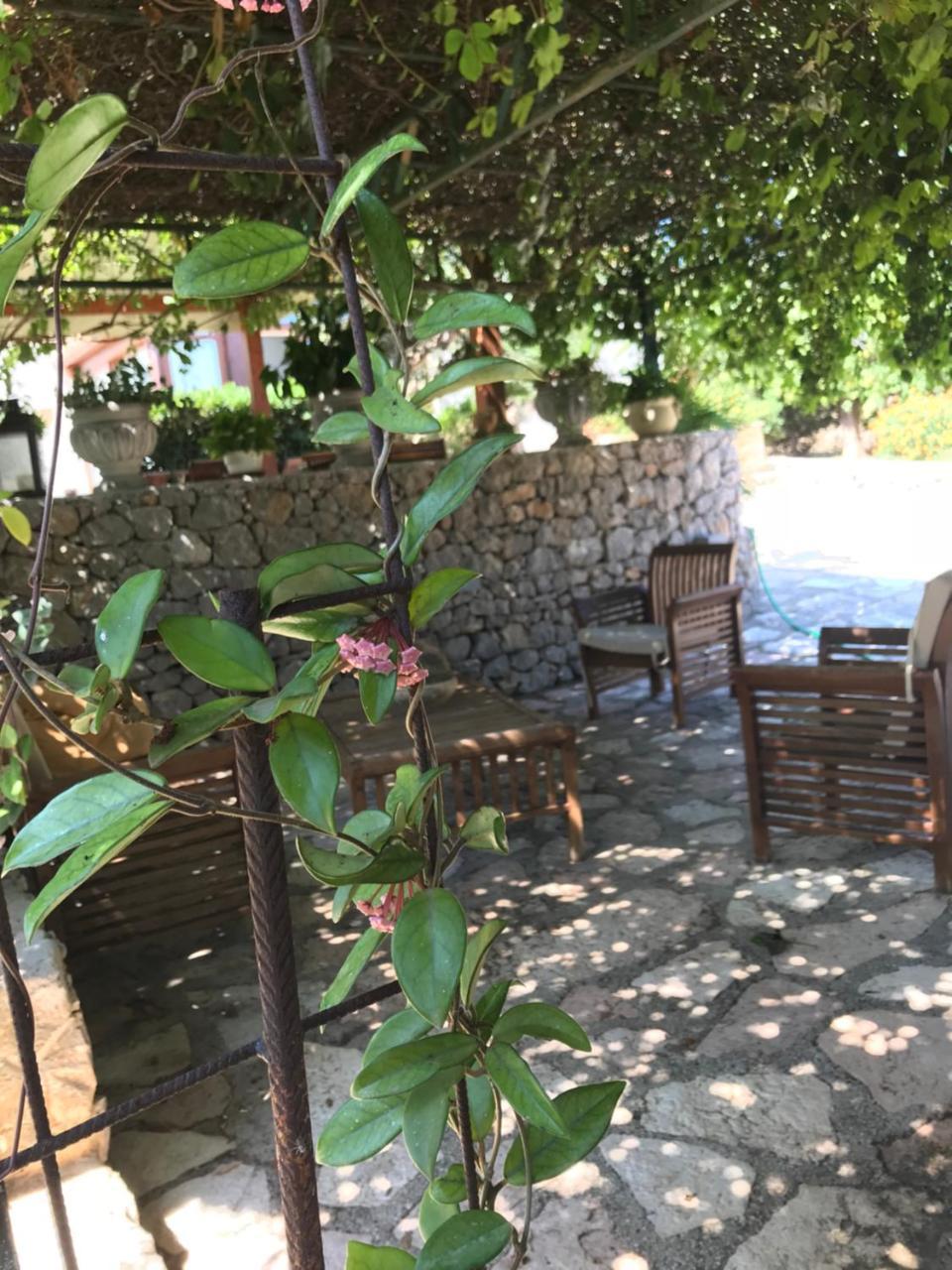 B&B Villa Alba San Vito Lo Capo Ngoại thất bức ảnh